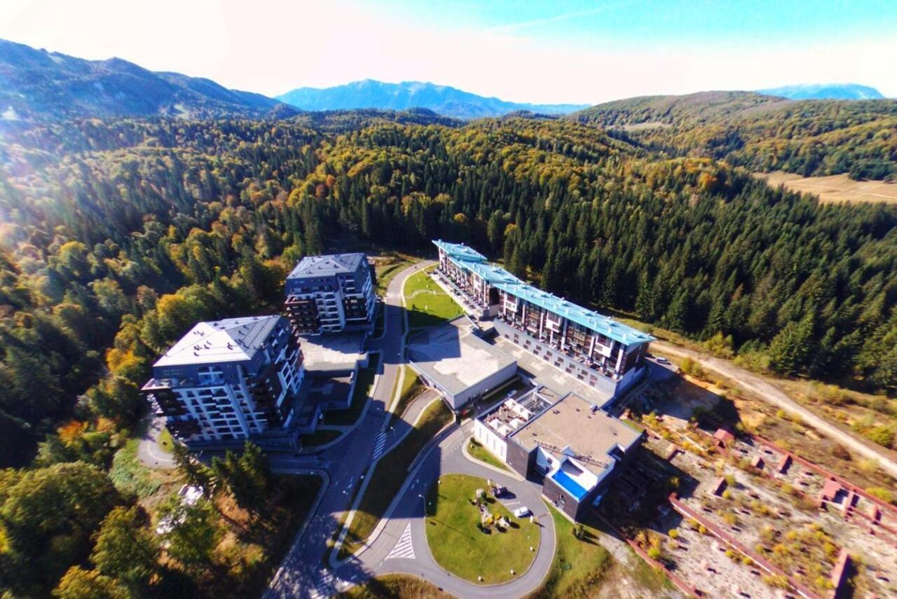Forest Corner In Silver Mountain Of 포이아나브라소프 외부 사진