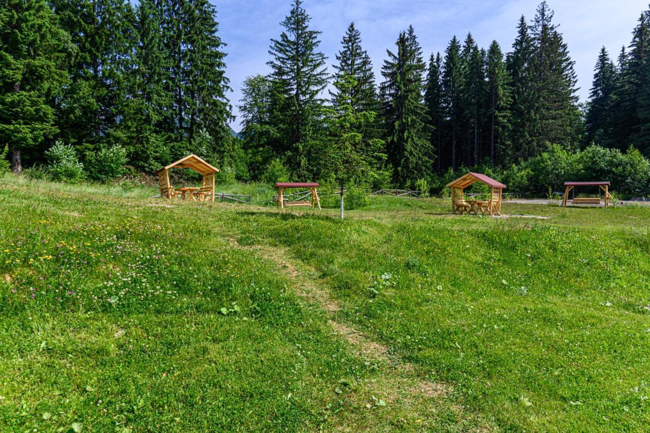 Forest Corner In Silver Mountain Of 포이아나브라소프 외부 사진